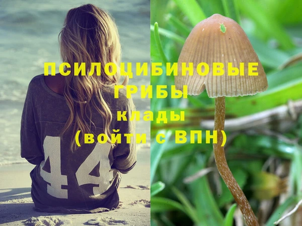 ГАЛЛЮЦИНОГЕННЫЕ ГРИБЫ Кукмор