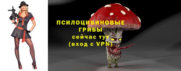 2c-b Лагань