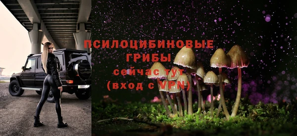 2c-b Лагань