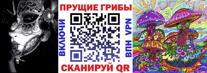 Галлюциногенные грибы Cubensis  как найти   Дубовка 